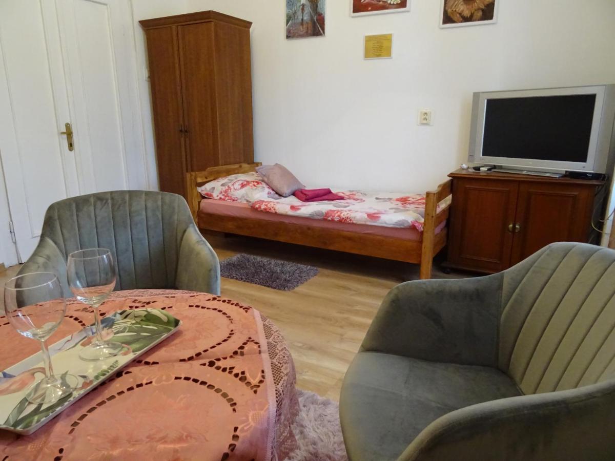 Guesthouse Ilona Velky Kamenec المظهر الخارجي الصورة