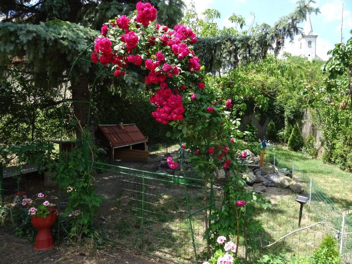 Guesthouse Ilona Velky Kamenec المظهر الخارجي الصورة