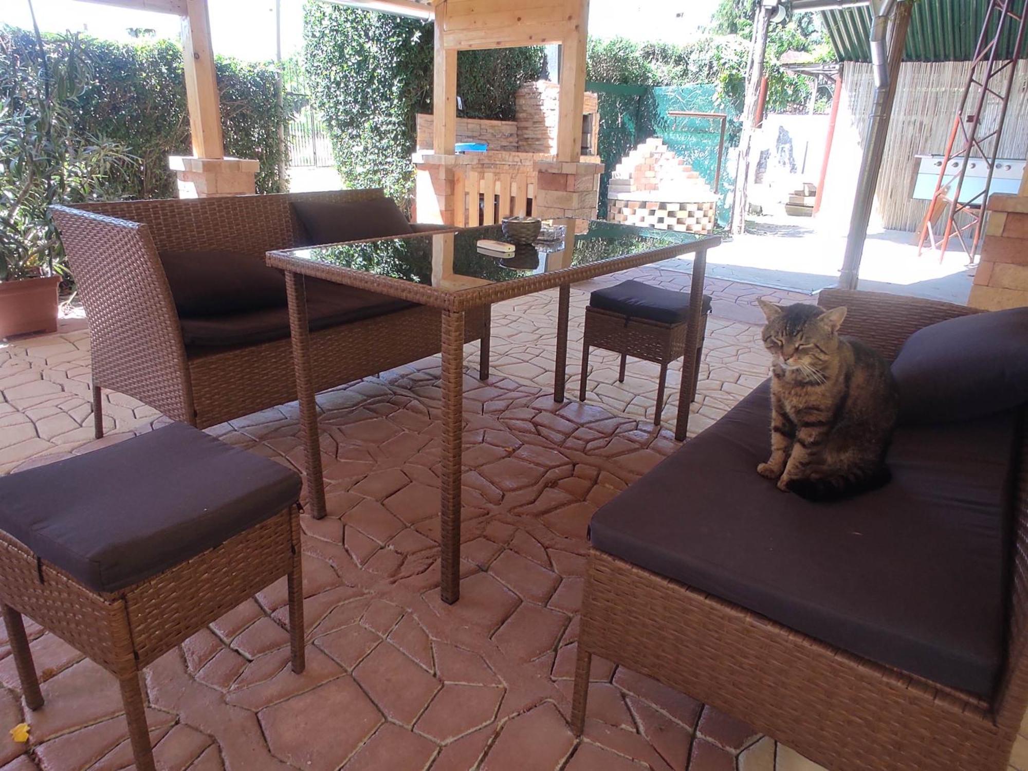 Guesthouse Ilona Velky Kamenec المظهر الخارجي الصورة