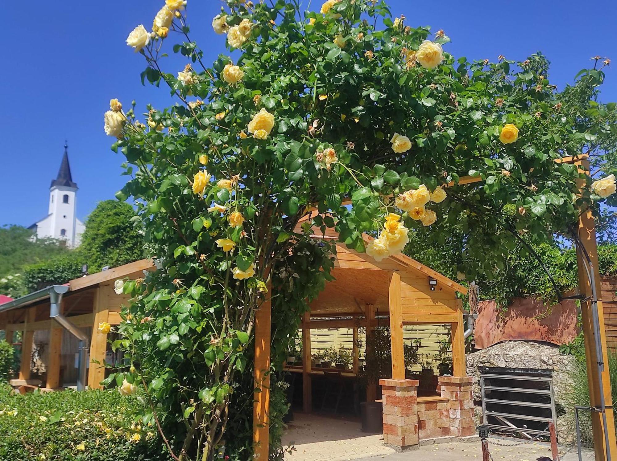 Guesthouse Ilona Velky Kamenec المظهر الخارجي الصورة